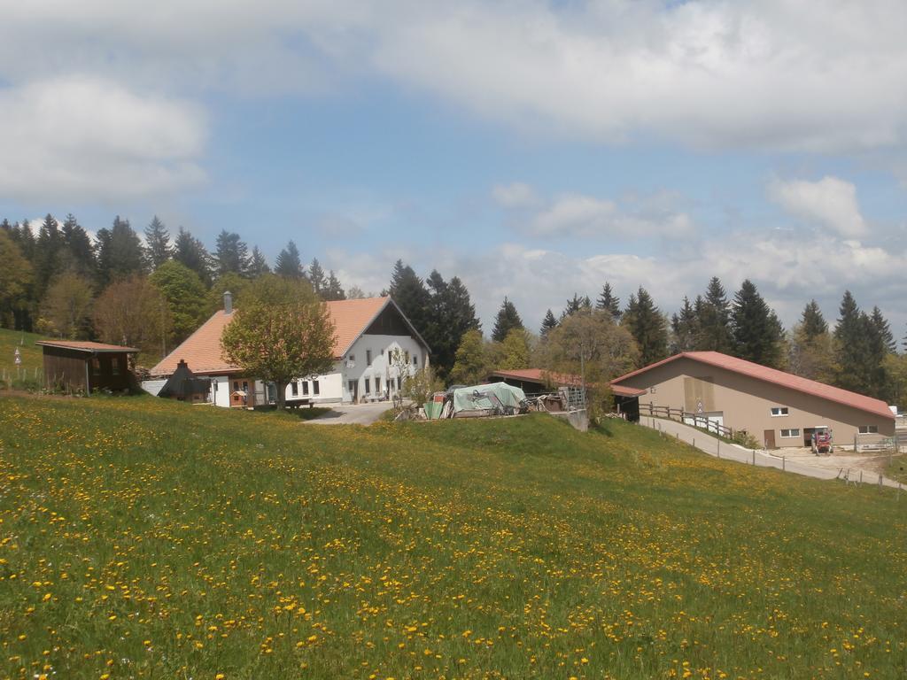 B&B La Ferme De Pouillerel La Chaux De Fonds Dış mekan fotoğraf